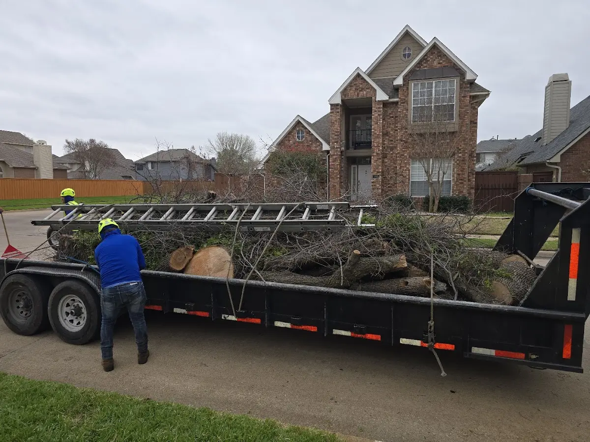 Expert Tree Pest Control with proper safety equipment in Genoa City